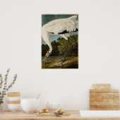 プレート226 | Whooping Crane |アメリカの鳥 ポスター (キッチン)