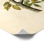 プレート2 |ハト・ホーク |アメリカの鳥 ポスター (角)