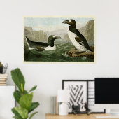 プレート341 |アウク素晴らしク |アメリカの鳥 ポスター (ホームオフィス)