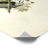 プレート362 | Yellow-Bed Magpie & Stellers Jay ポスター (角)