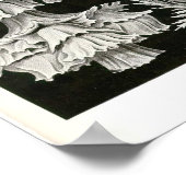 プレート39ゴルゴニア ポスター (角)