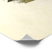 プレート390 | Lark Finch、プレーリーフィンチ&スパロー ポスター (角)