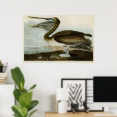 プレート421 |ブラウン・ペリカン |アメリカの鳥 ポスター (ホームオフィス)