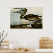 プレート421 |ブラウン・ペリカン |アメリカの鳥 ポスター (キッチン)