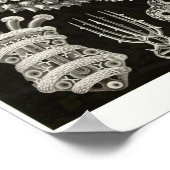 プレート50。泌尿器科。 ポスター (角)