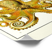 プレート54.ガモチョニア。 ポスター (角)