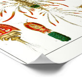 プレート56.コペポッド。 ポスター (角)