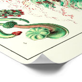 プレート59.ストロバリア・キューポラ。 ポスター (角)