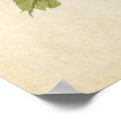 プレート69 | Bay-Breasted Warbler |アメリカの鳥 ポスター (角)