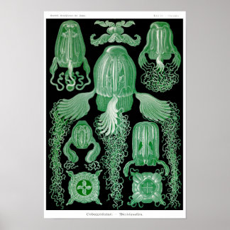 プレート78.キュボメデス。 ポスター