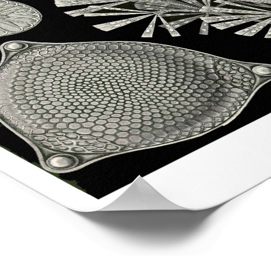 プレート84.原子。 ポスター (角)