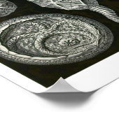 プレート90.嚢胞体。 ポスター (角)