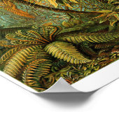 プレート92.フィリシナ。 ポスター (角)