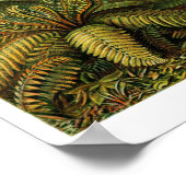 プレート92.フィリシナ。 ポスター (角)