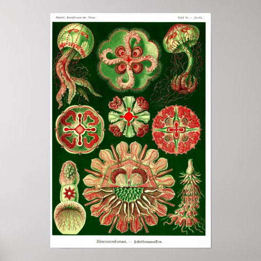 プレート98.ディスコ。 ポスター (正面)