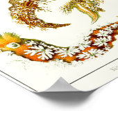 プレート。ヌディブランキア。 ポスター (角)