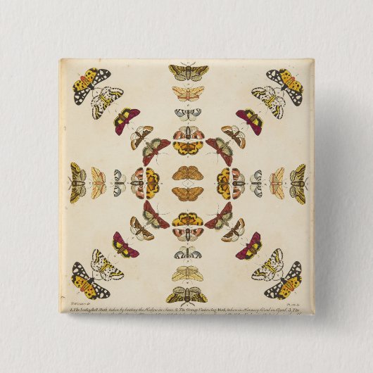 プレートXIからの詳細 缶バッジ (正面)