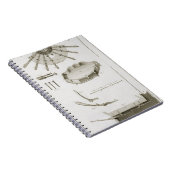 プレートXX: ペダルの広がりそして働き ノートブック (右側)