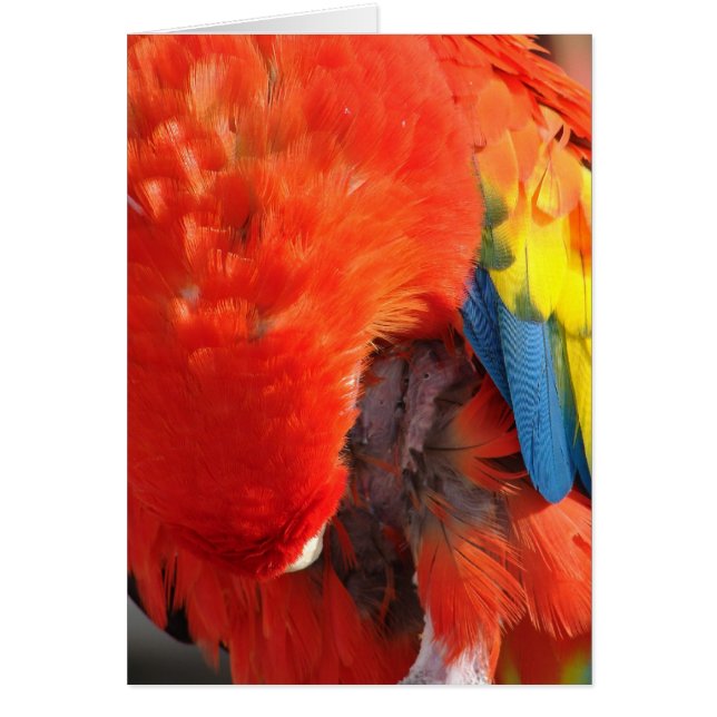 プレーニング (正面)