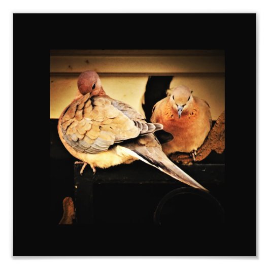 プレーニング フォトプリント            (正面)