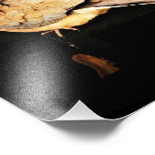 プレーニング フォトプリント            (角)