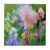 プレーリーの煙で野草が《植物》アスペングローブ2 タイル (正面)