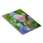 プレーリーの煙で野草が《植物》アスペングローブ2 ノートブック (右側)