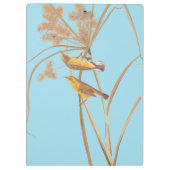 プレーリーウォーブラーオードボンイエローバード クリップボード (裏面)