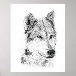 プレーリーウルフの手描きのジャッカルコヨーテアート ポスター
