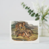 プレーリーウルフバイジョンウッドハウスオードボン ポストカード (スタンド正面)