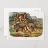 プレーリーウルフバイジョンウッドハウスオードボン ポストカード (正面/裏面)