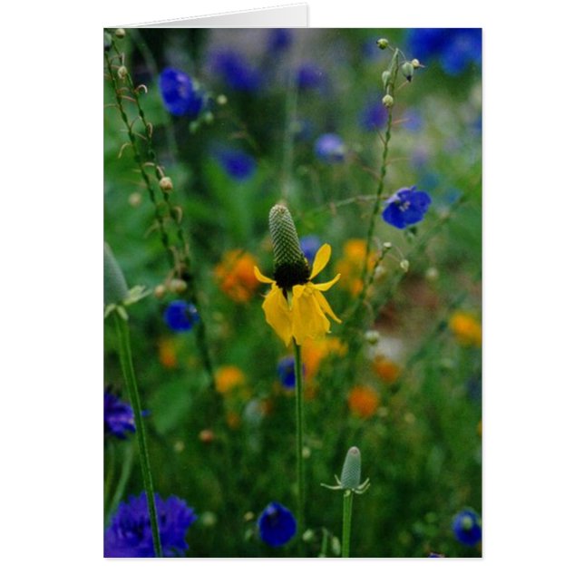 プレーリーコンフロアー (正面)