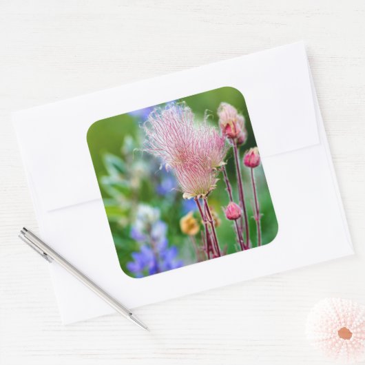 プレーリースモークワイルドフラワーイン《植物》アスペングローブ2 スクエアシール (封筒)