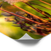 プレーリースモークワイルドフラワーイン《植物》アスペン林 ポスター (角)