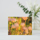 プレーリースモークワイルドフラワーイン《植物》アスペン林 ポストカード (スタンド正面)