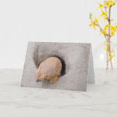 プレーリードッグお尻 カード (黄色い花)