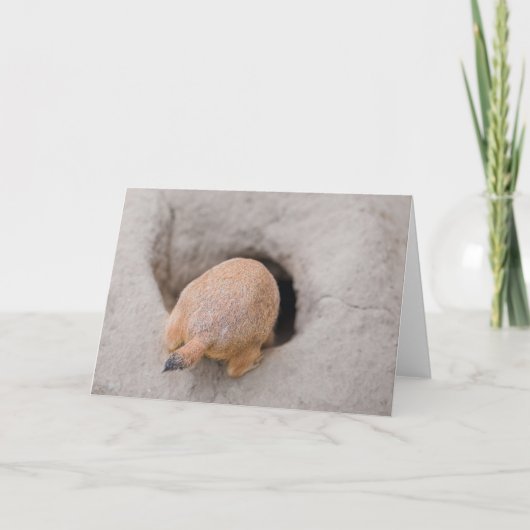 プレーリードッグお尻 カード (正面)