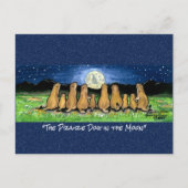 プレーリードッグお洒落ムーンウォーター色はがき ポストカード (正面)