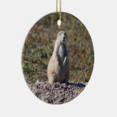 プレーリードッグのバドランド国立公園インテリアSD セラミックオーナメント (右)