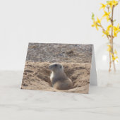 プレーリードッグのバースデー・カード カード (黄色い花)