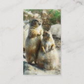 プレーリードッグのフォーマルなポートレート 名刺 (裏面)