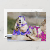 プレーリードッグはグルービー! ポストカード (正面/裏面)