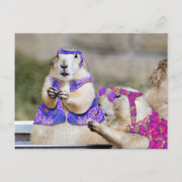 プレーリードッグはグルービー！ ポストカード