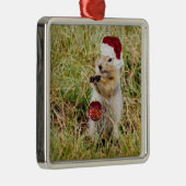 プレーリードッグを持つ優れたオーナメント メタルオーナメント (右)