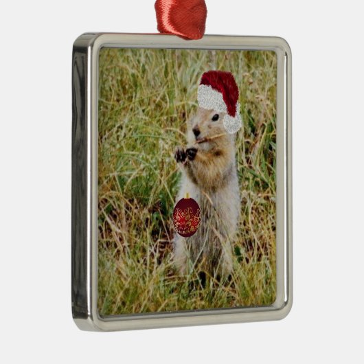 プレーリードッグを持つ優れたオーナメント メタルオーナメント (右)