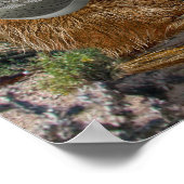 プレーリードッグスバンド ポスター (角)