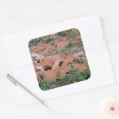 プレーリードッグパップ スクエアシール (封筒)