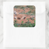 プレーリードッグパップ スクエアシール (バッグ)