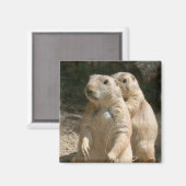 プレーリードッグフォトスクエアマグネット マグネット (正面/裏面)