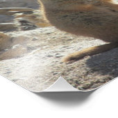 プレーリードッグフォトプリント フォトプリント            (角)